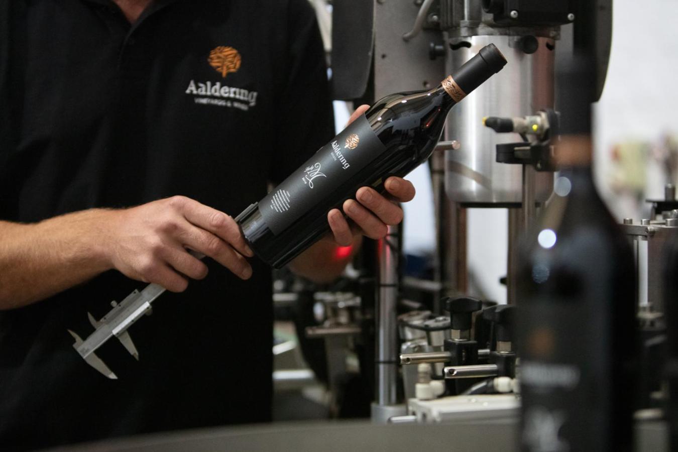 Aaldering Luxury Lodges Stellenbosch Bagian luar foto